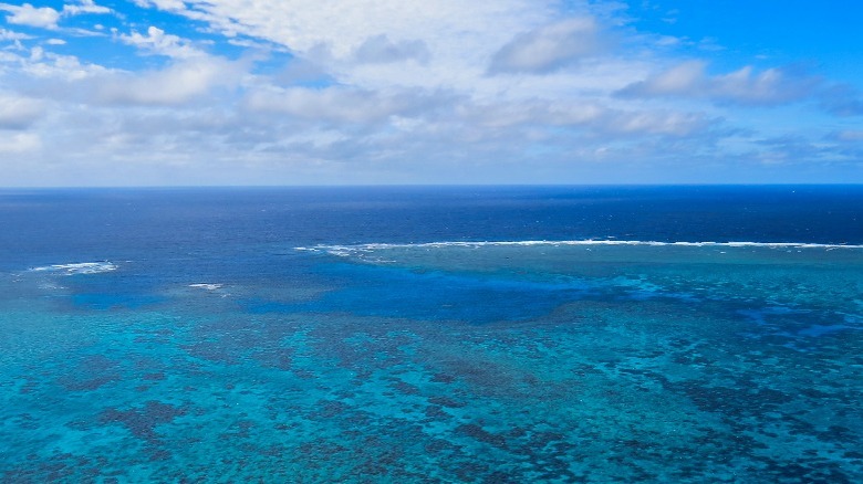 Agincourt Ribbon Reefs Great Barrier Reef