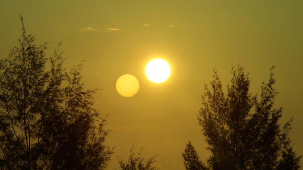 twin suns binary