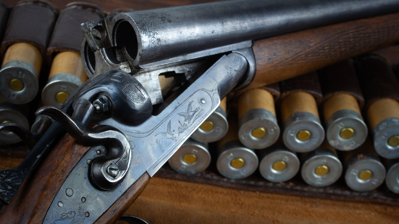 12-gauge shotguns and bullets