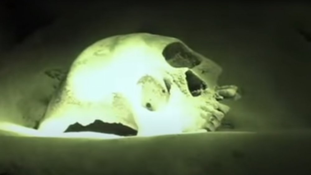 terror cave skull
