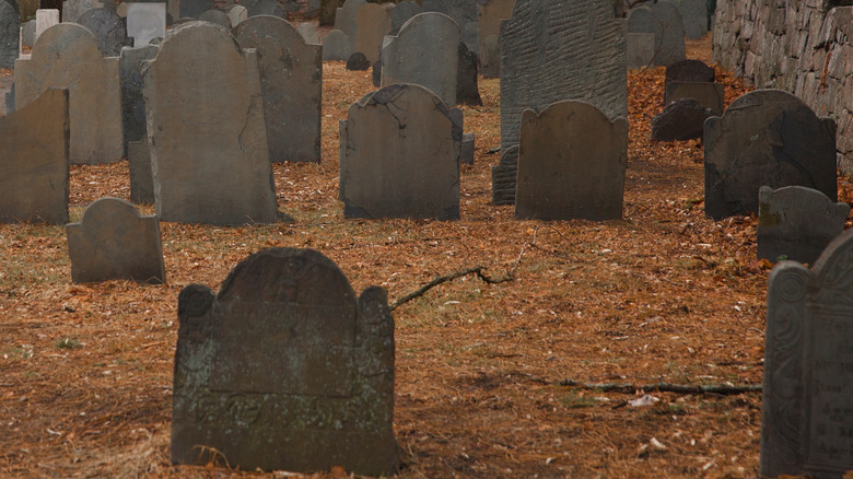 salem graveyard leaves