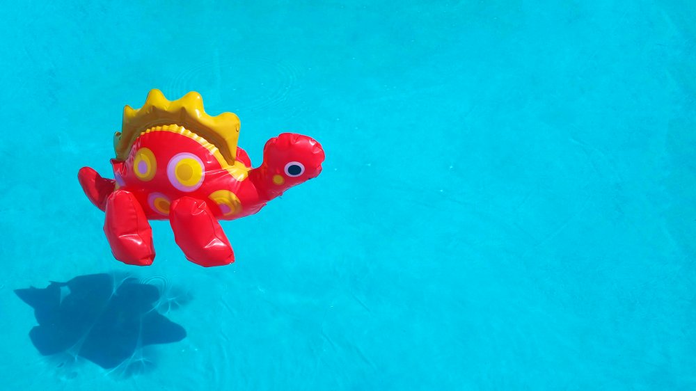 Dino floatie