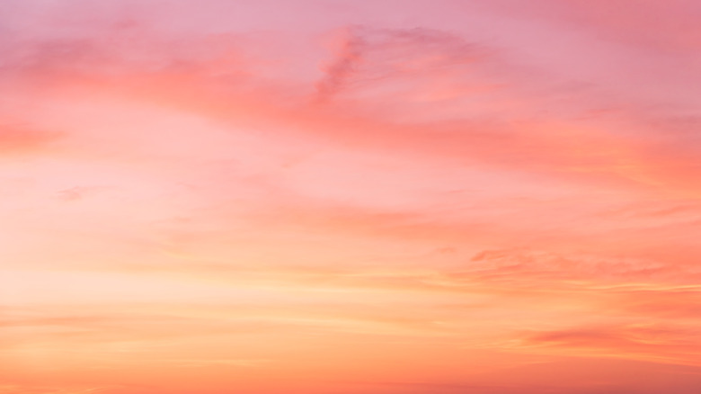 summer sunset