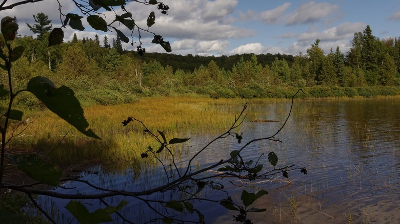 Scenic view Lac Windigo Quebec