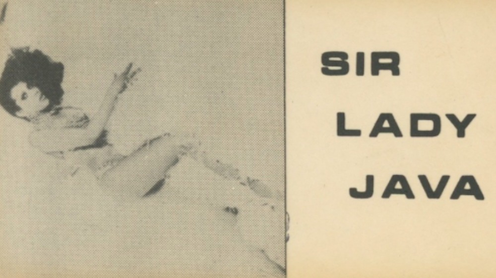 Sir Lady Java promo card