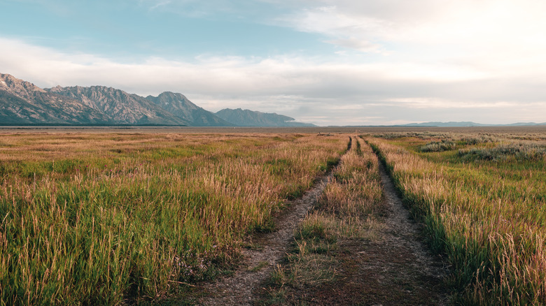 Wyoming prairie