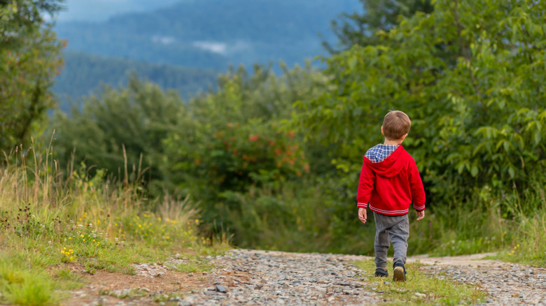 boy walking in forest