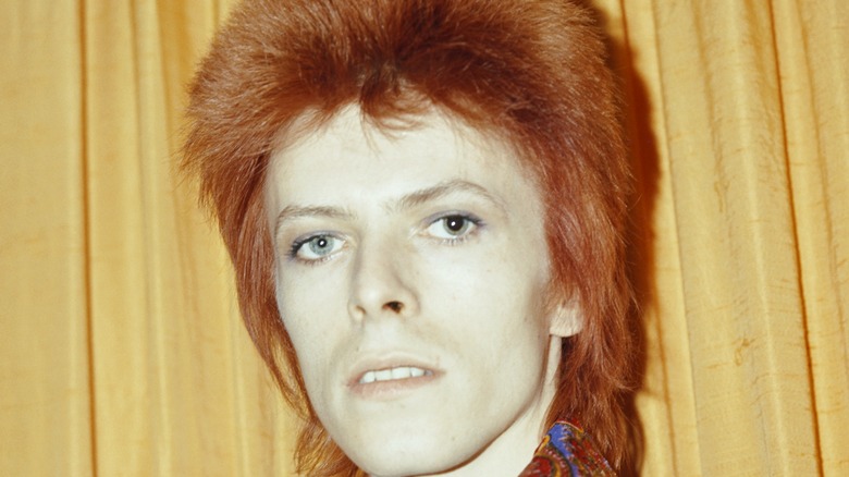 david bowie 