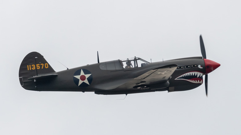 curtiss p-40 at modern airshow with shark teeth nose cone art