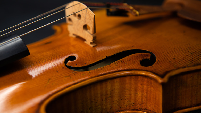 Close-up of violin