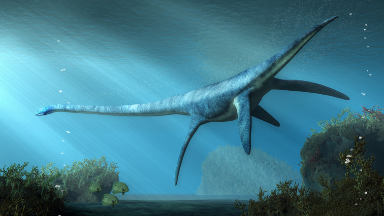 Prehistoric sea creature