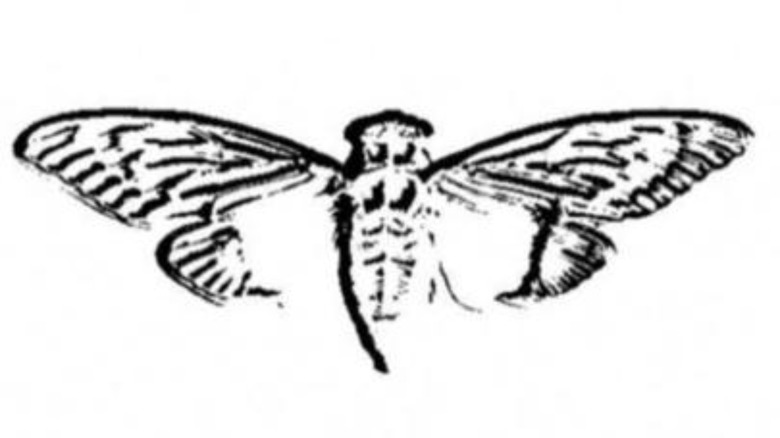 Logo of Cicada 3301