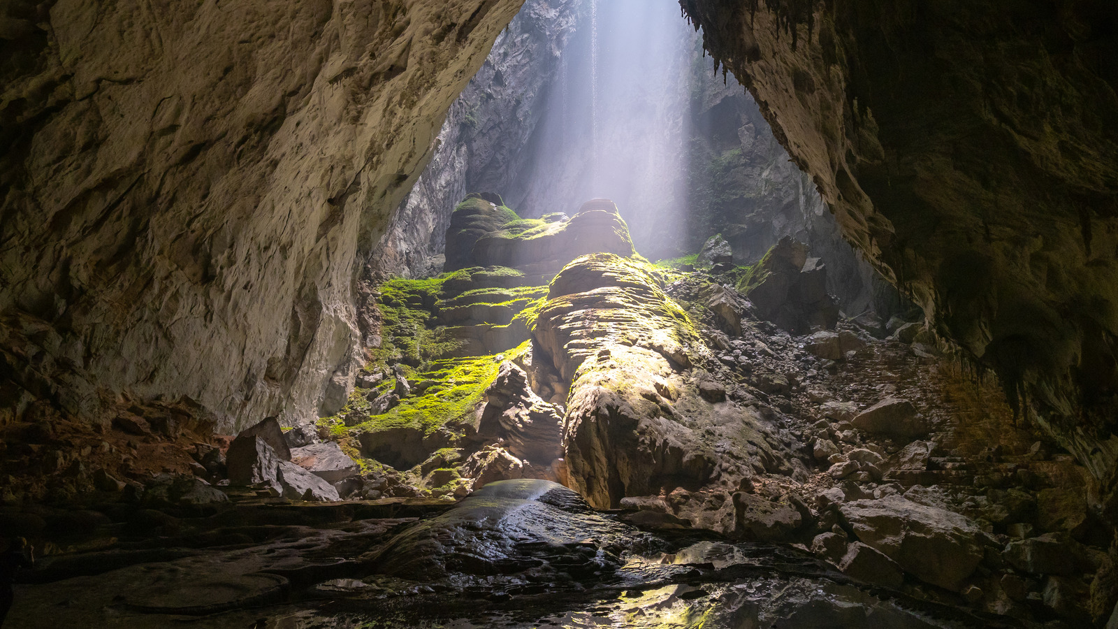 The Weird Truth About Hang Son Doong, The Cave With Its Own Rainforest