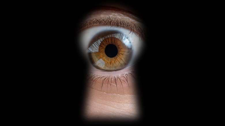 spying eye