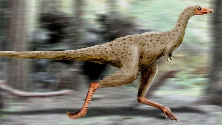 Linhenykus monodactylus artist reconstruction