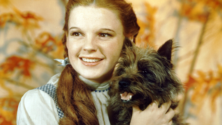 Dorothy and toto