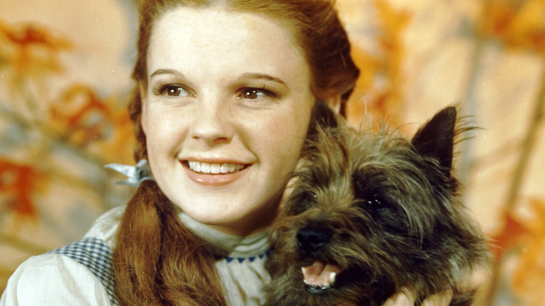 Dorothy and toto