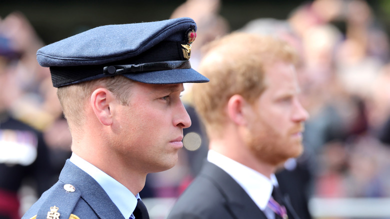 prince william prince harry