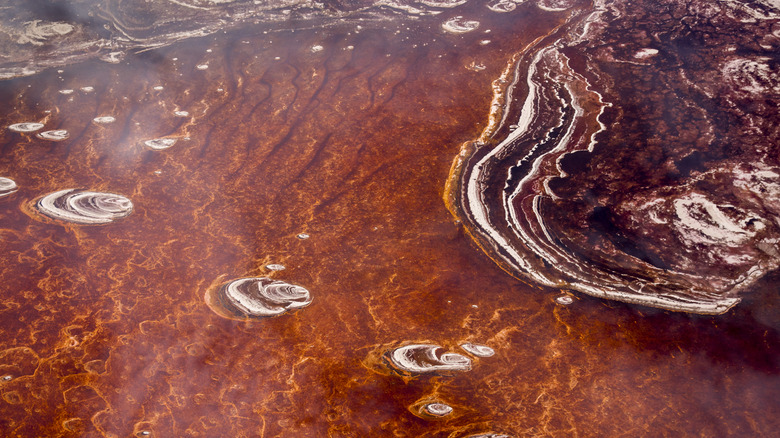 view of Lake Natron