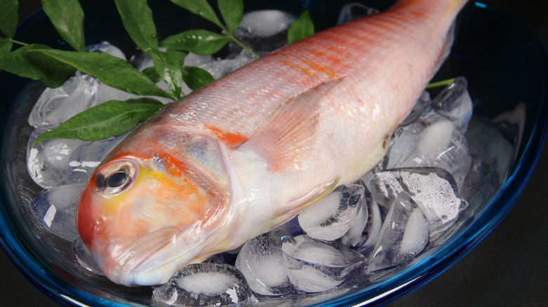 Tilefish on a plate