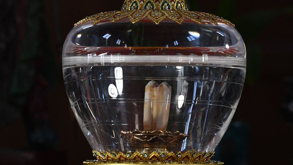 buddha's tooth