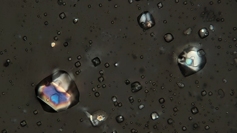 fluid inclusions in halite