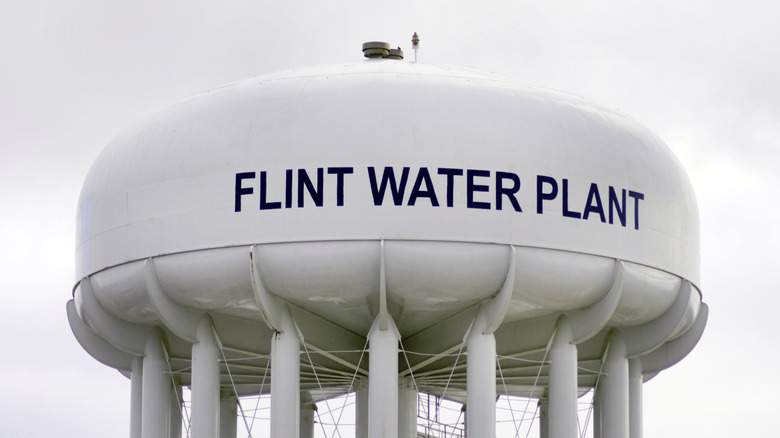 Flint water plant container