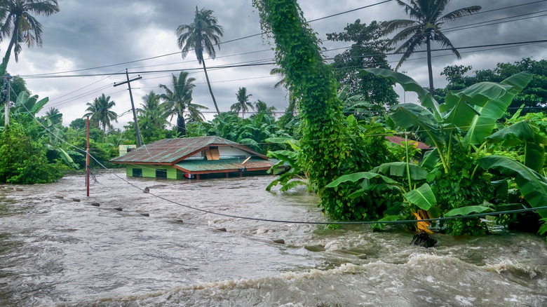 submerged house in monsoon