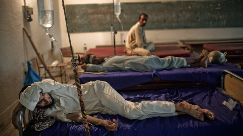 people laying in hospital beds