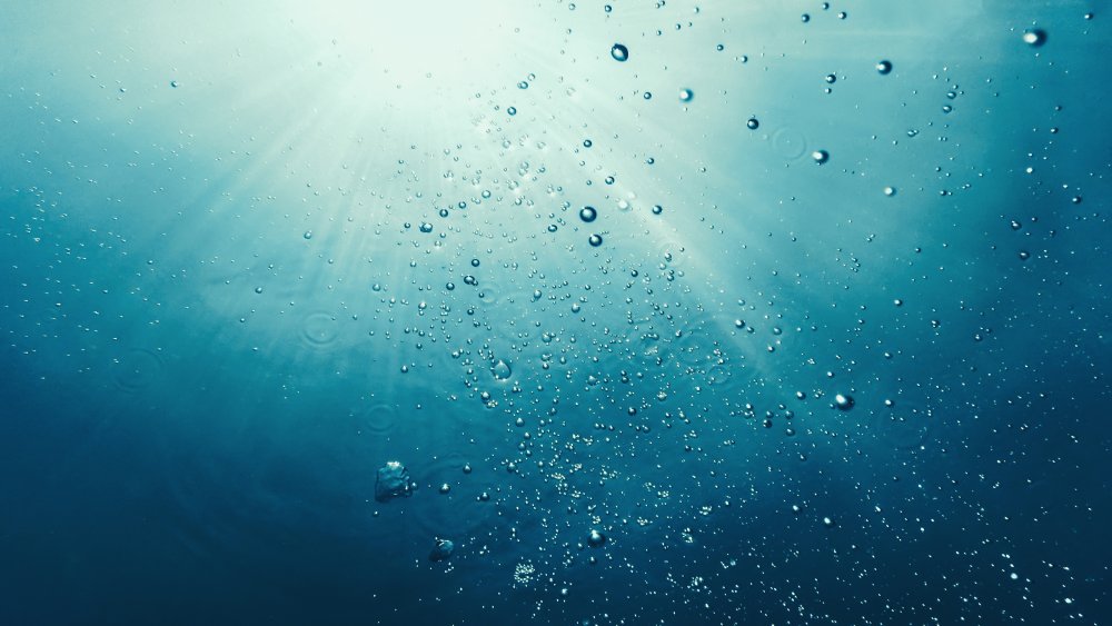 underwater ocean