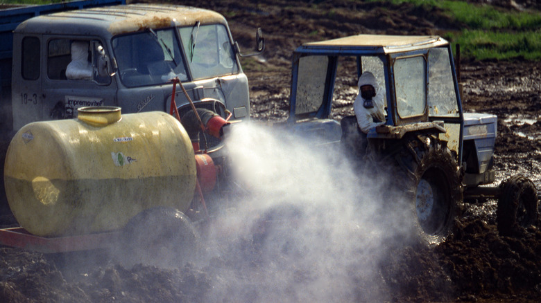 Decontamination at Seveso, 1976.