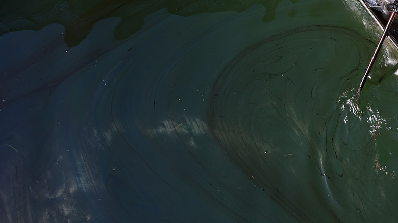 oil spill on ocean water