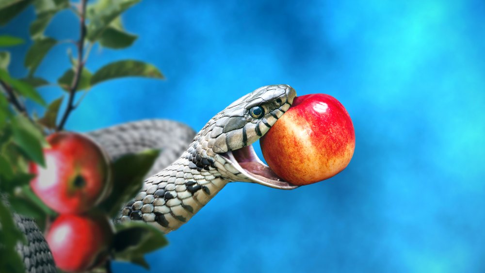 Serpent
