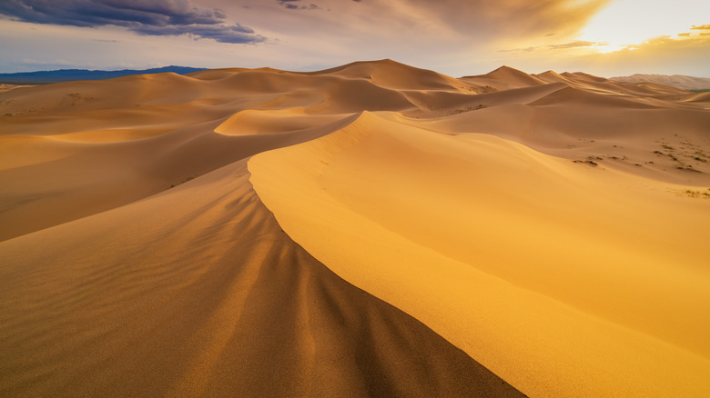 desert sand dunes