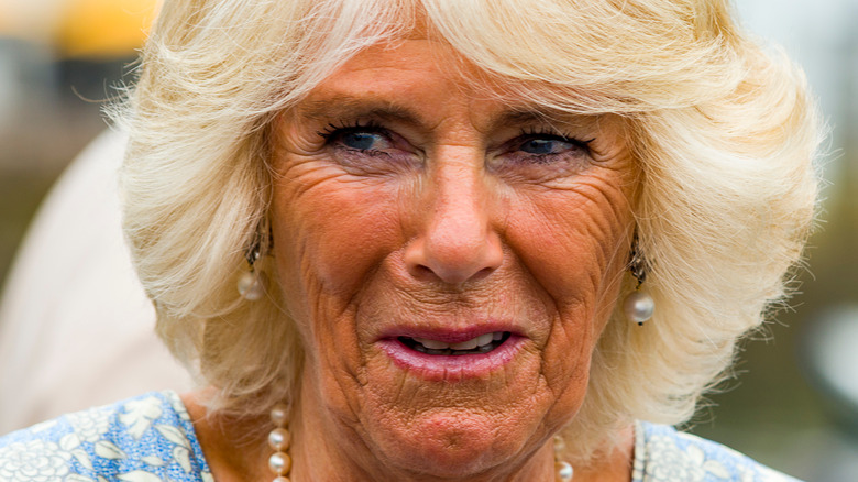 Camilla Parker Bowles