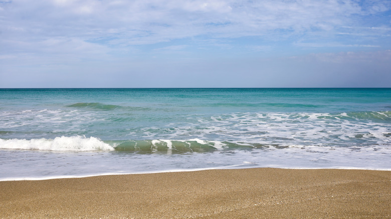 A Treasure Coast beach