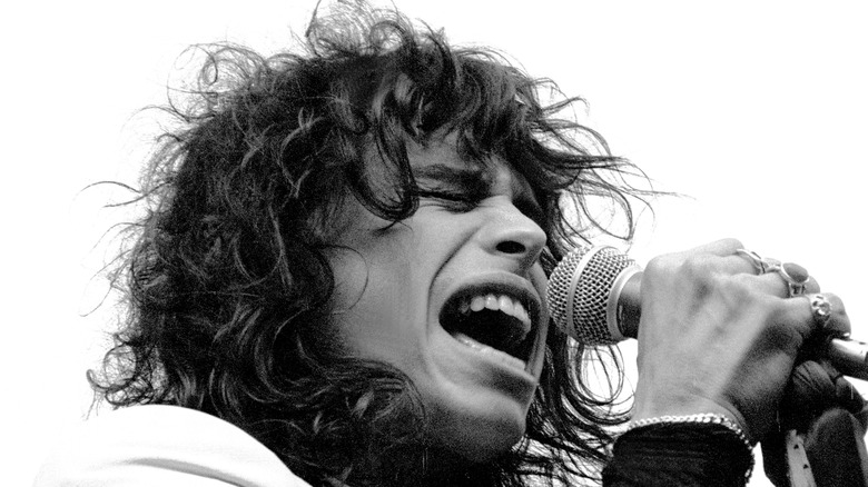 Steven Tyler singing in the late 1970s