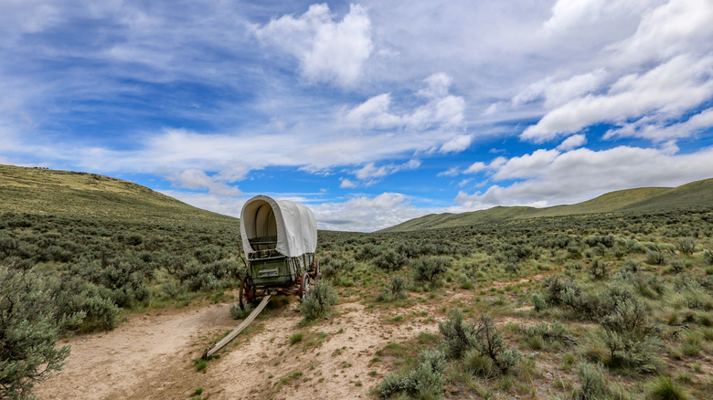 wagon on the Oregon Trail