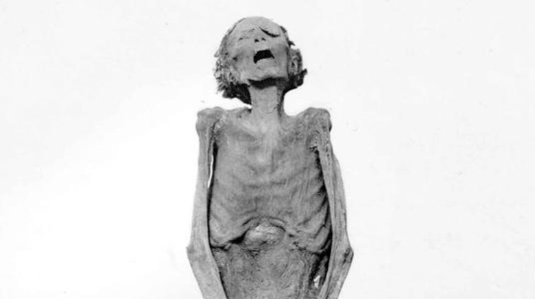 egyptian mummy face