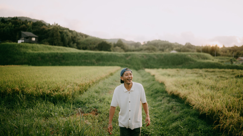 japanese man among rice fields