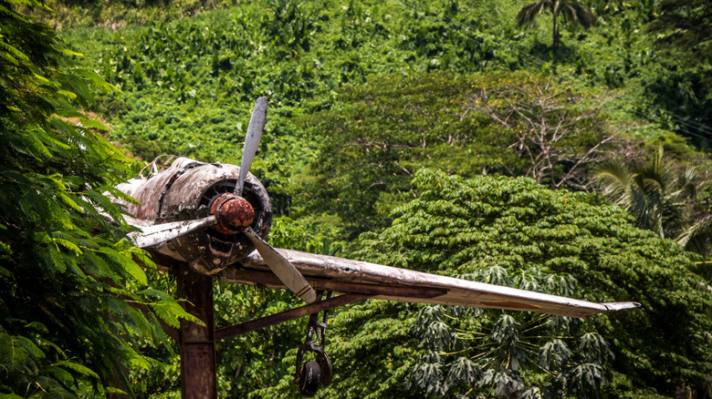 falen wwii airplane in new guinea