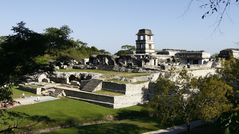 Mayan city of Tikal