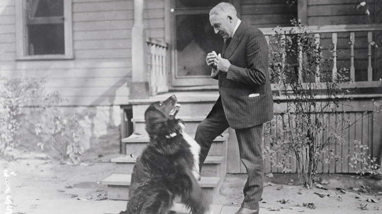 Warren Harding with dog at home