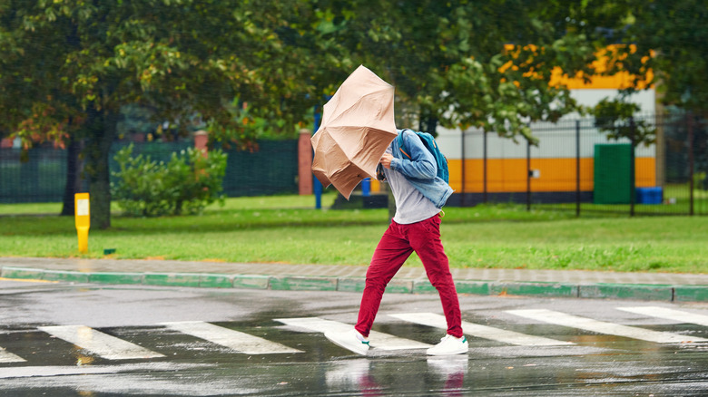 Person in crosswalk holding umbrella in the rain