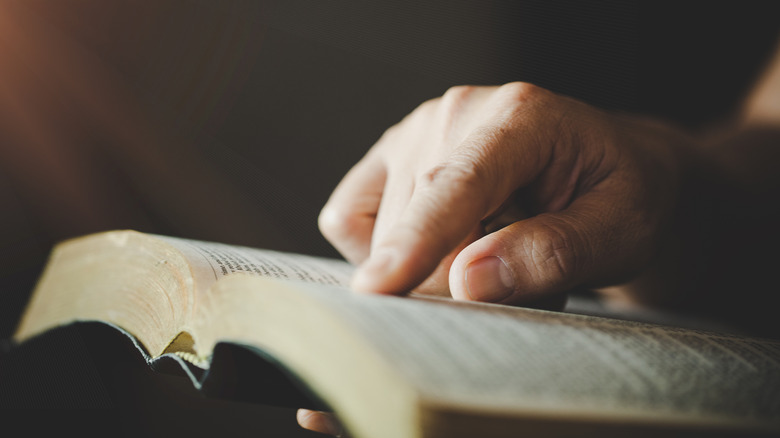 A person pinpoints a particular in a book.