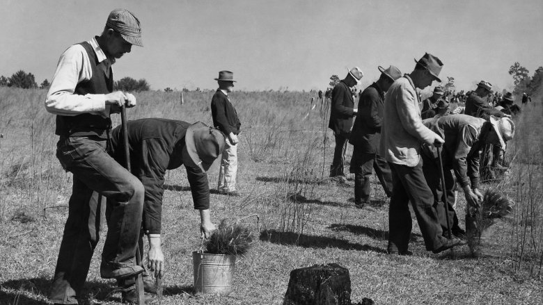 Civilian Conservation Corps