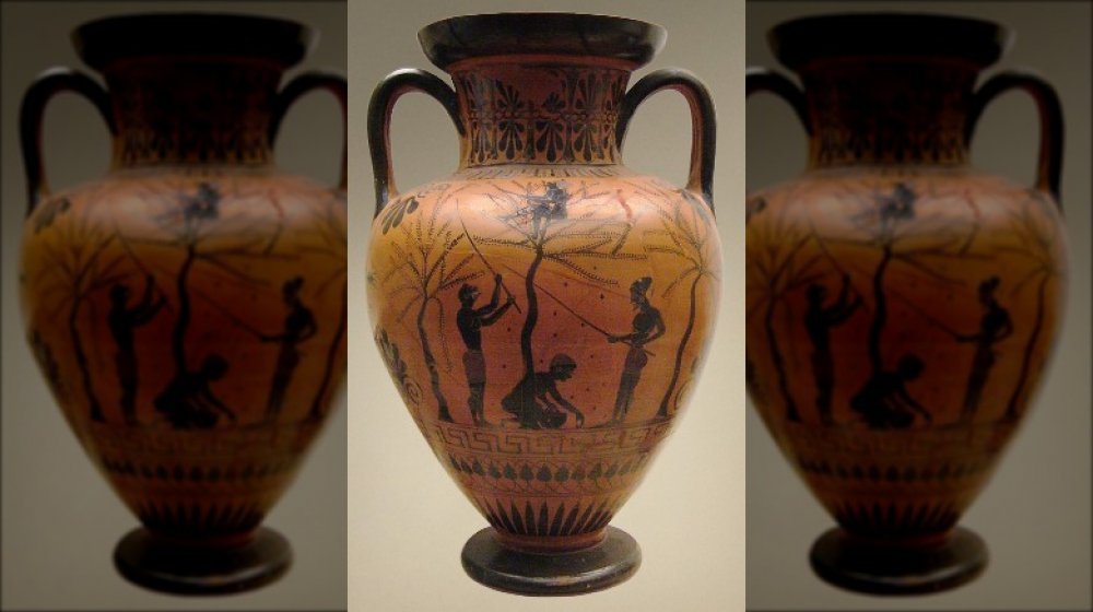 olive gathering amphora