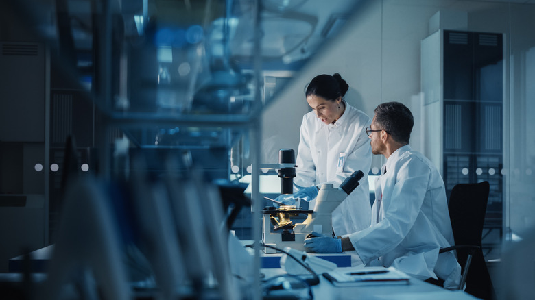 Scientists working in a lab