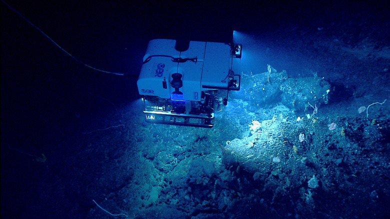 rov sea exploration