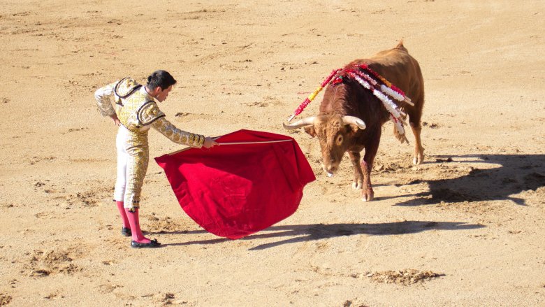 bullfighting